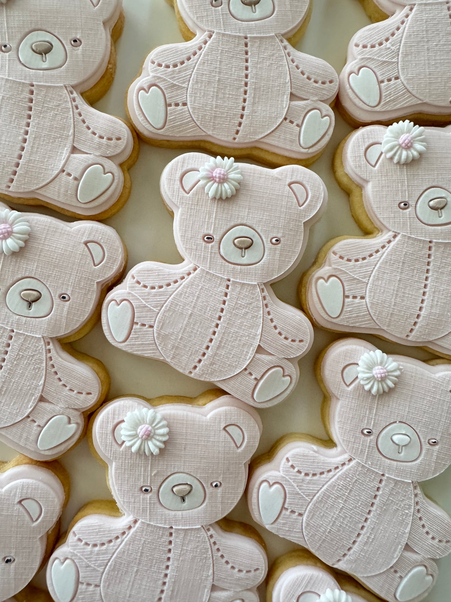 Albie Bear Cookie Stamp & Cutter