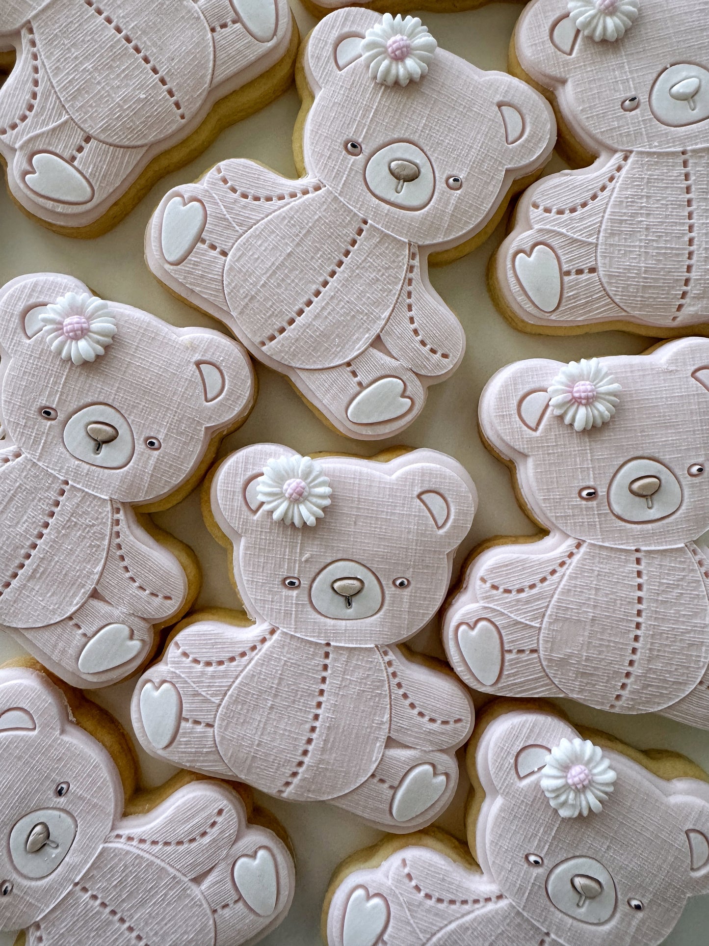 Albie Bear Cookie Stamp & Cutter