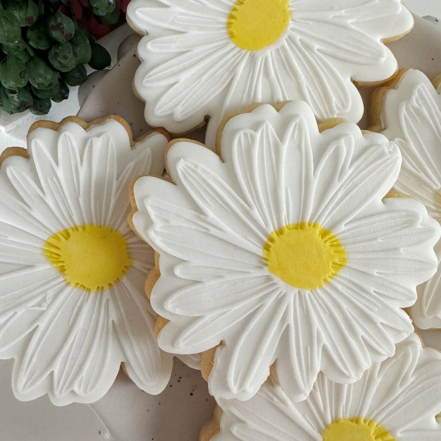 Daisy Flower Cookie Stamp & Cutter