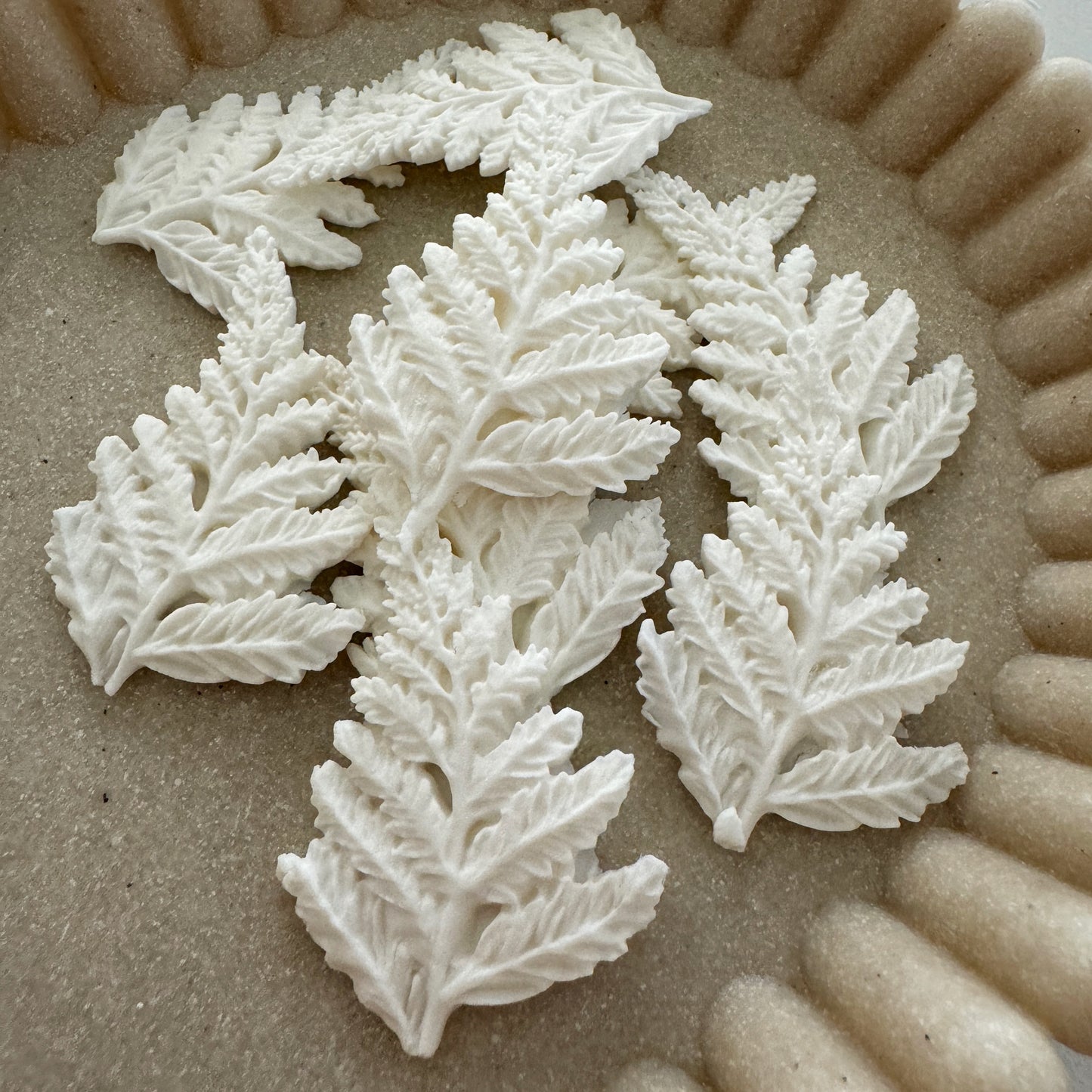 Multi Fern Leaf Silicone Mould