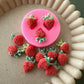 Strawberries Silicone Mould