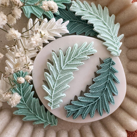 Fern Silicone Mould