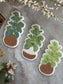 Fiddle leaf in basket Cookie Stamp & Cutter