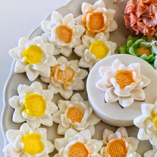 Kuki Daffodil Flower Silicone Mould