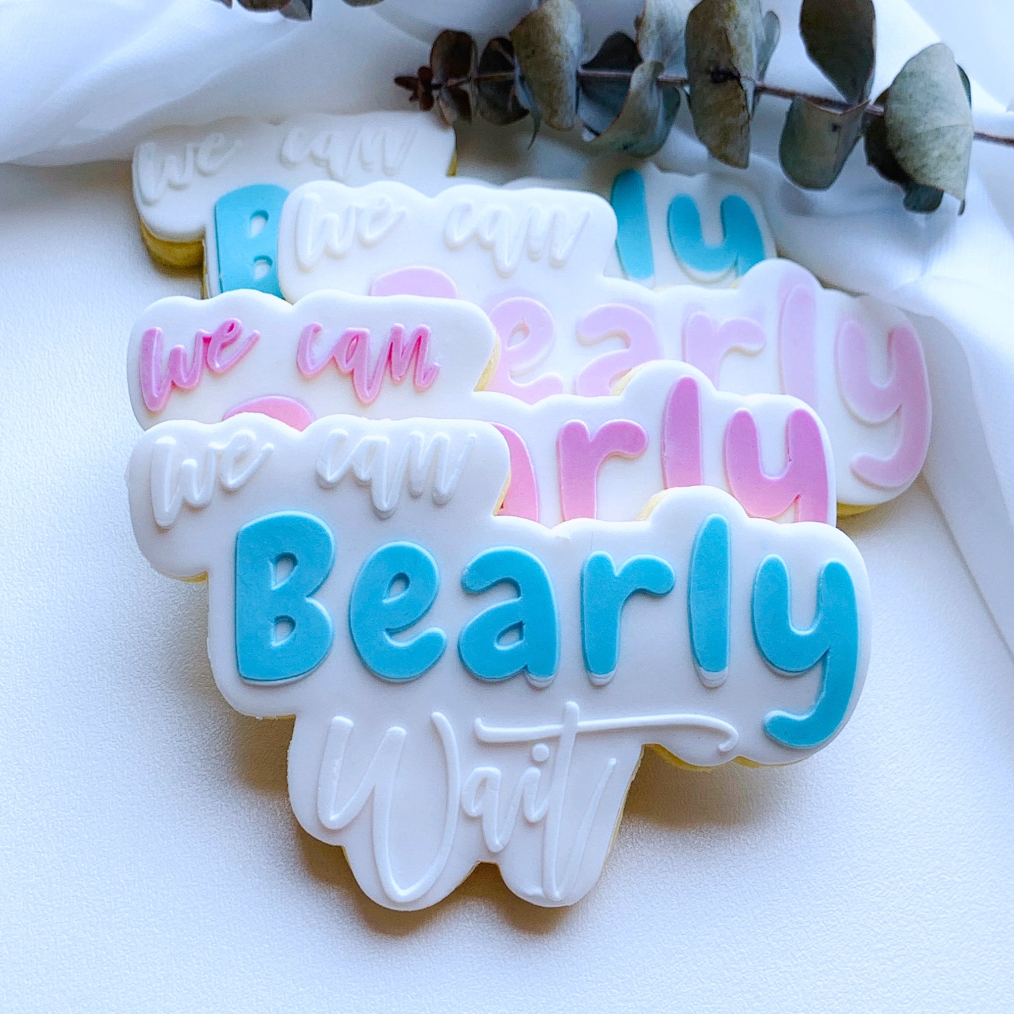 Large We Can Bearly Wait Cookie Stamp & Cutter Kuki Creative