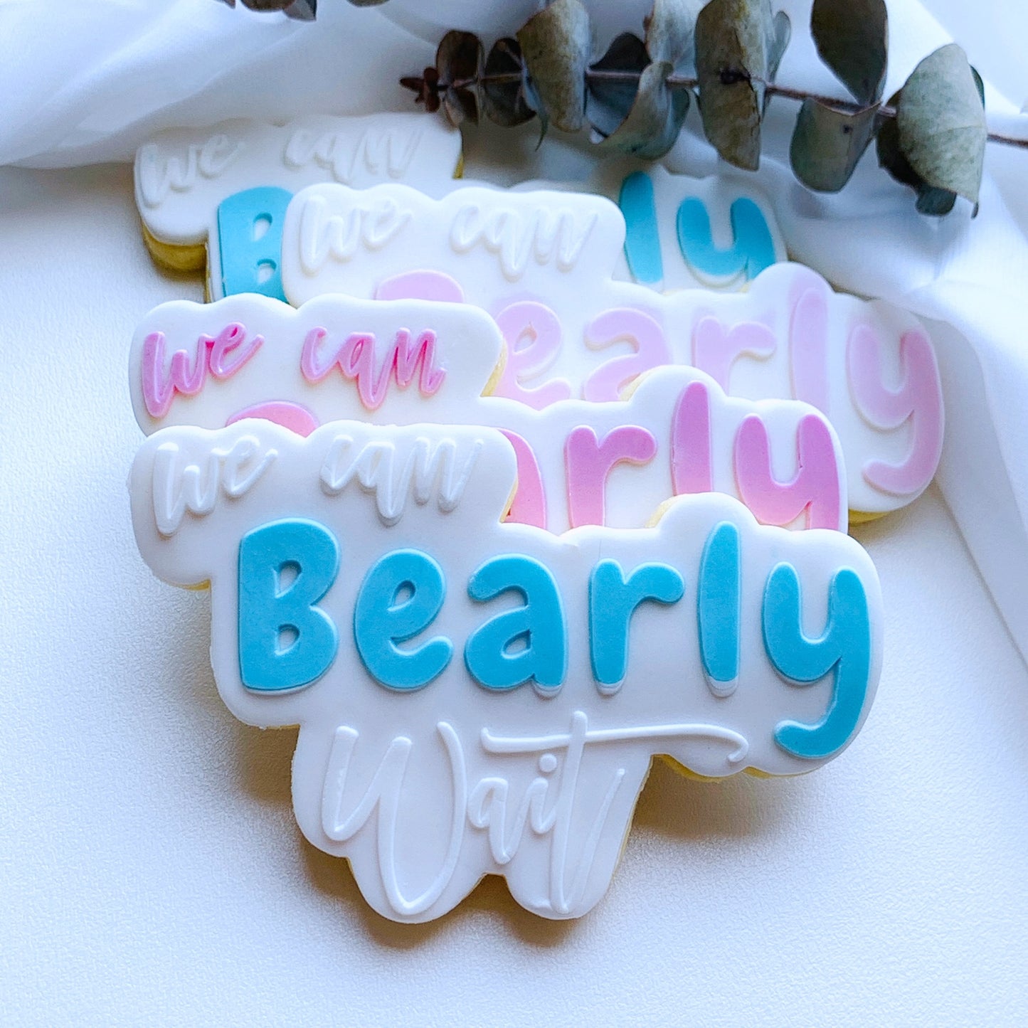 Large We Can Bearly Wait Cookie Stamp & Cutter